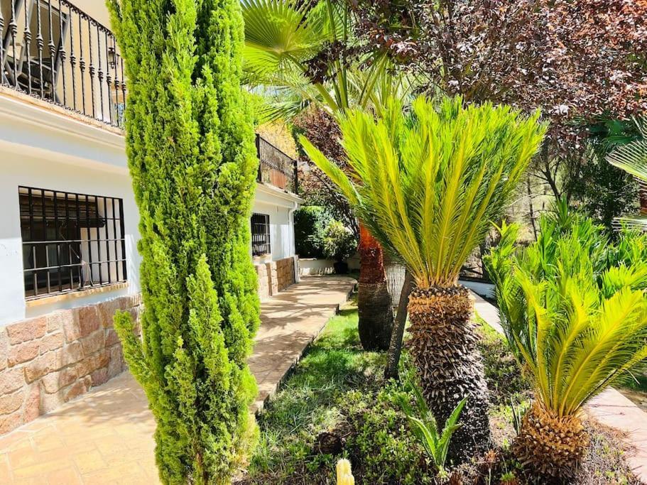 Villa Aljaral, Espectacular,Piscina,Chimenea, Climatizacion, Wifi Cordoba Exterior photo
