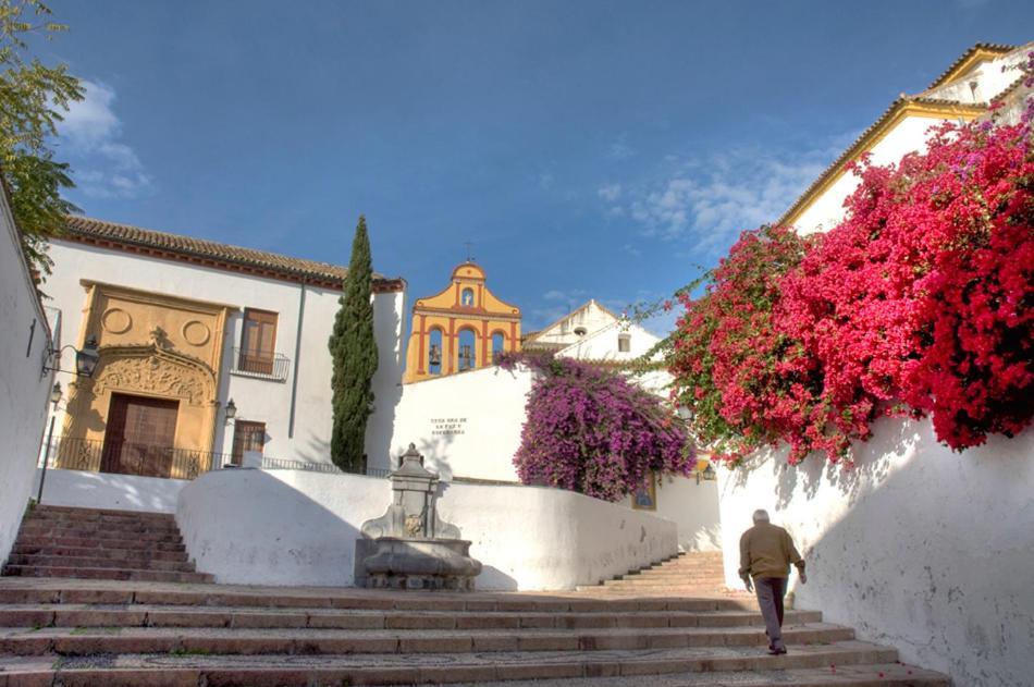 Villa Aljaral, Espectacular,Piscina,Chimenea, Climatizacion, Wifi Cordoba Exterior photo